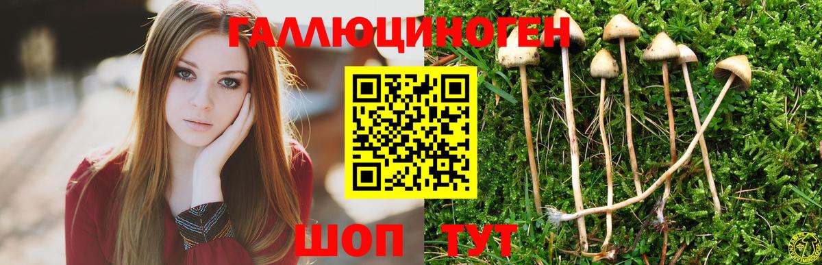 Галлюциногенные грибы Magic Shrooms  Вход с VPN  Ростов Великий 